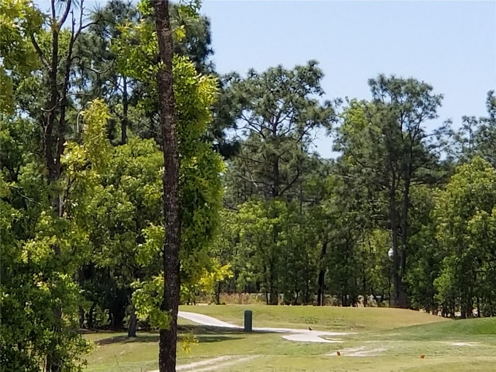 187 HICKORY COURSE TRCE
