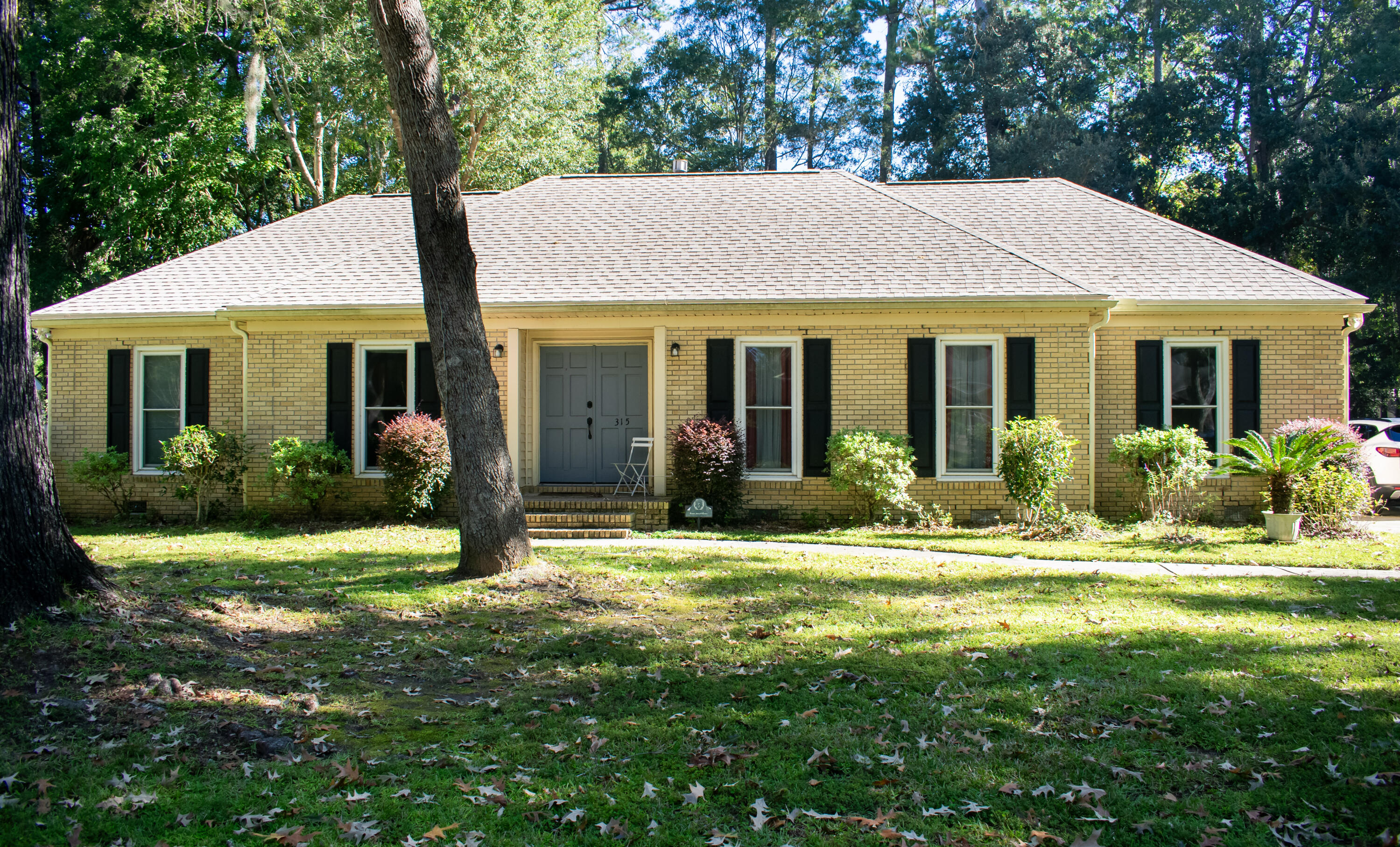 315 Shaftesbury Lane, Summerville