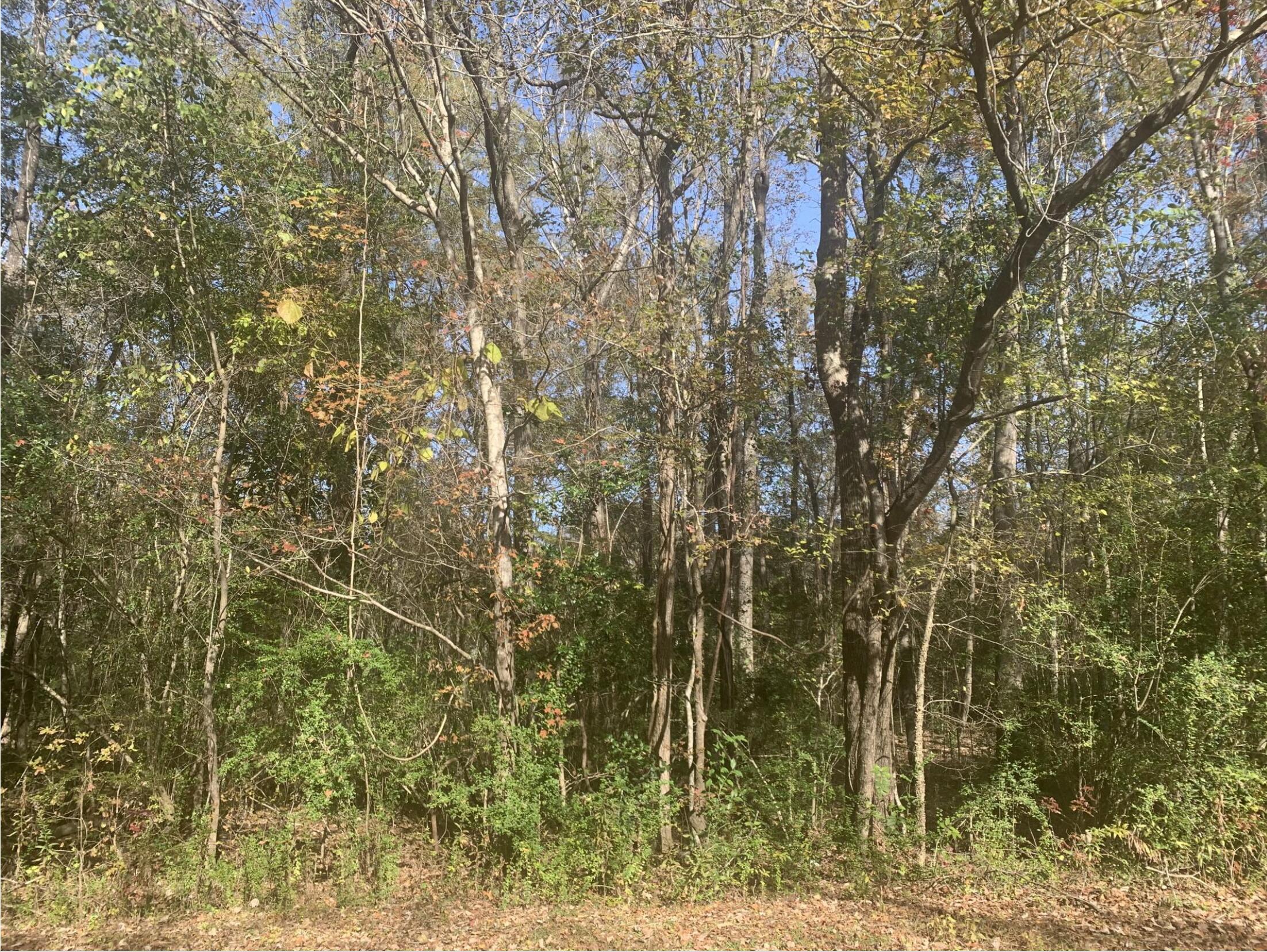 Lot 21 Mary Ellie Drive
