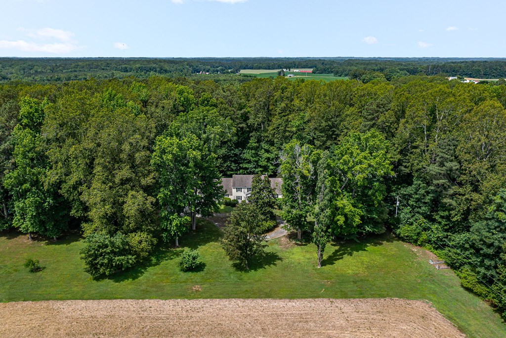 238 Hill Valley Ln