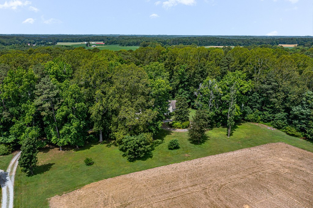 238 Hill Valley Ln