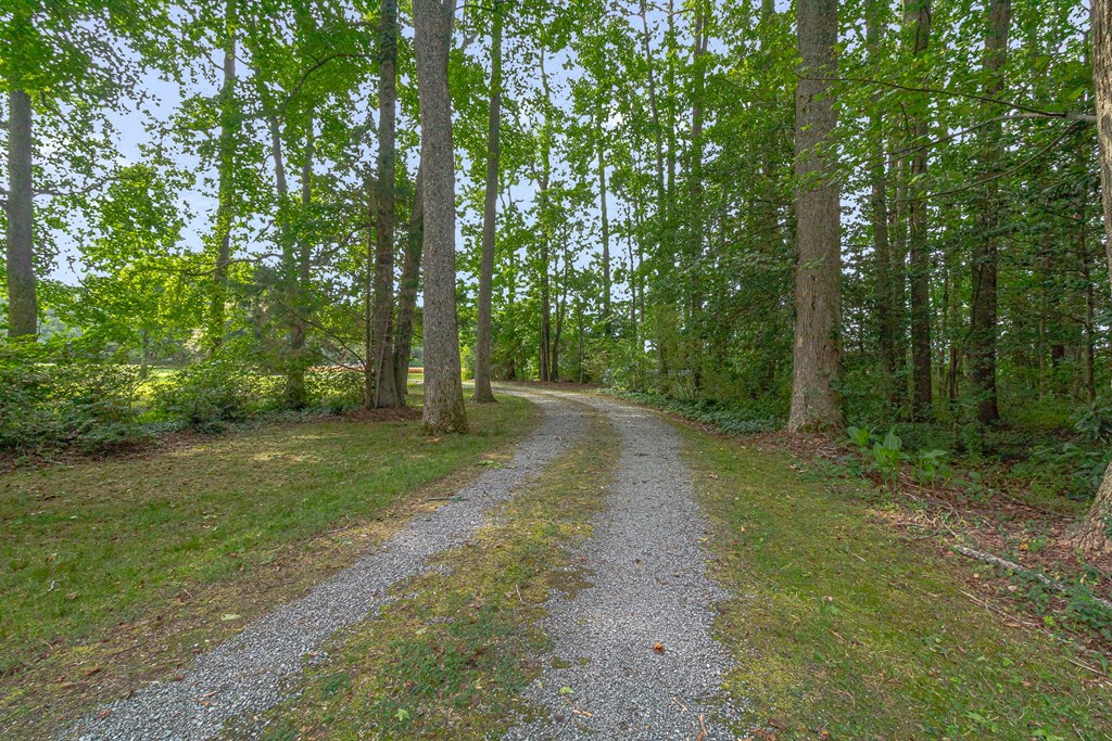 238 Hill Valley Ln