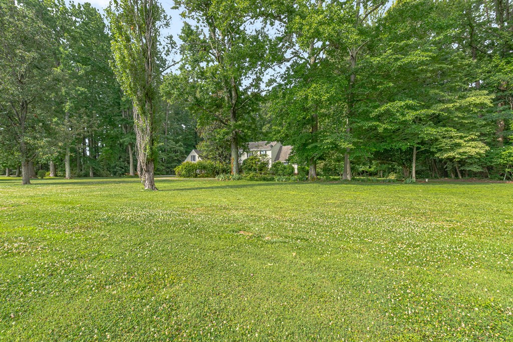 238 Hill Valley Ln