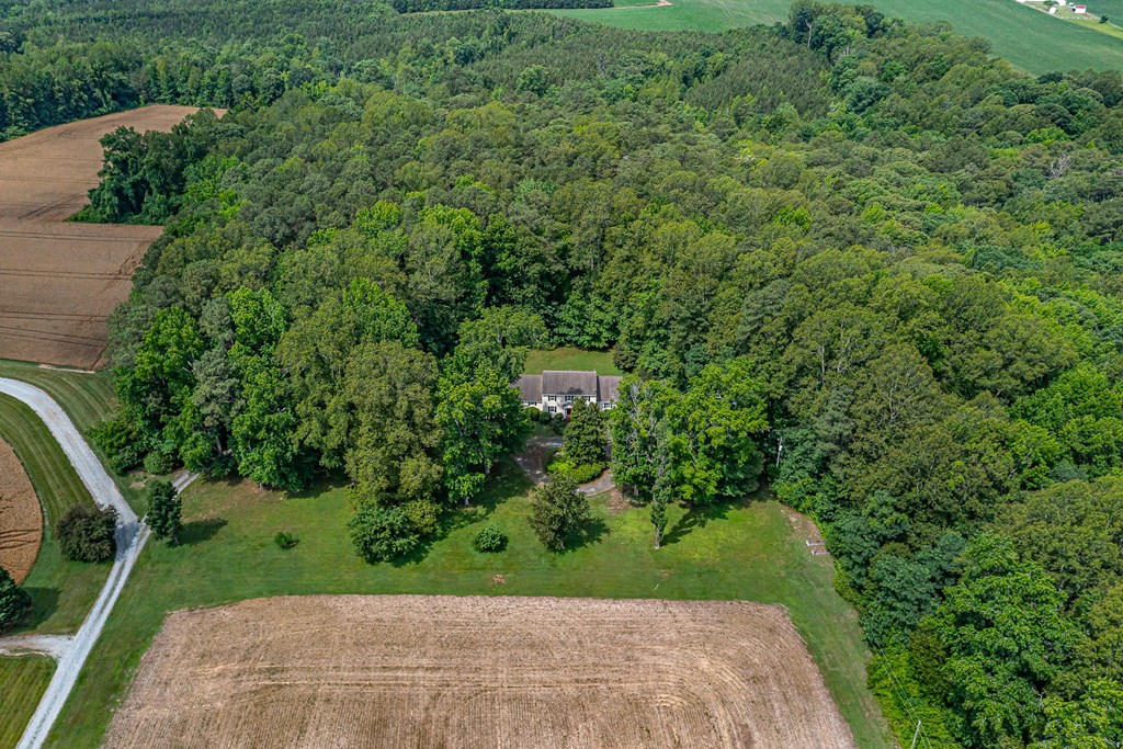 238 Hill Valley Ln