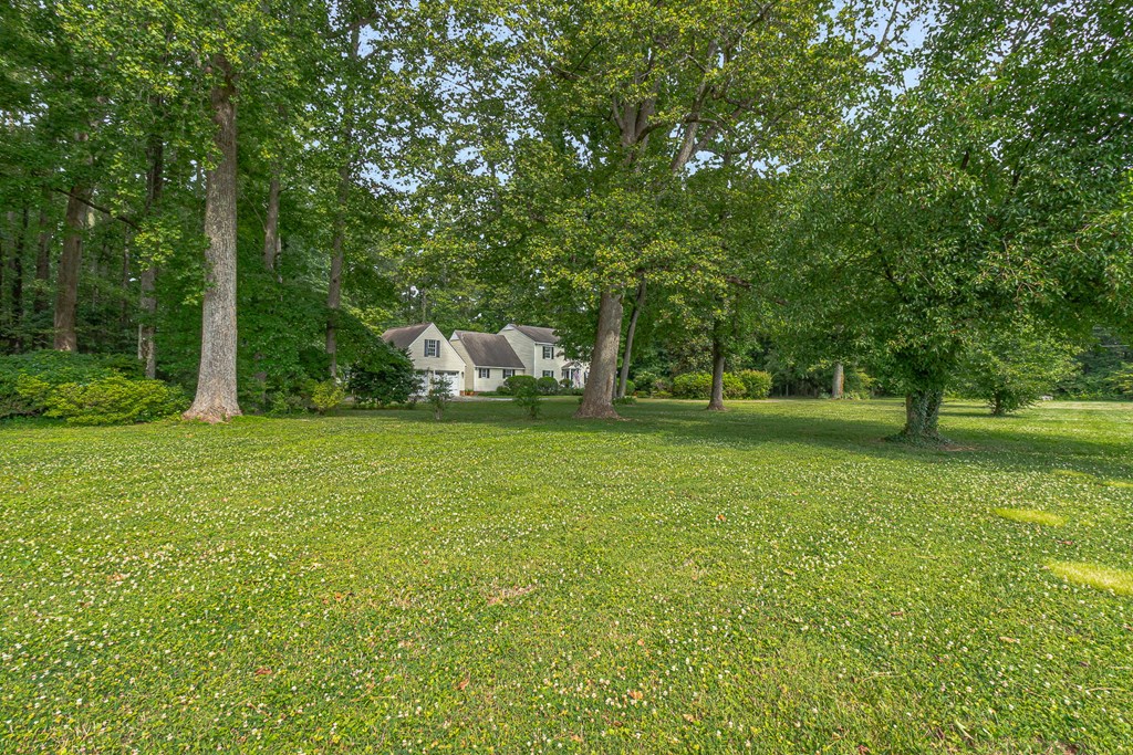 238 Hill Valley Ln