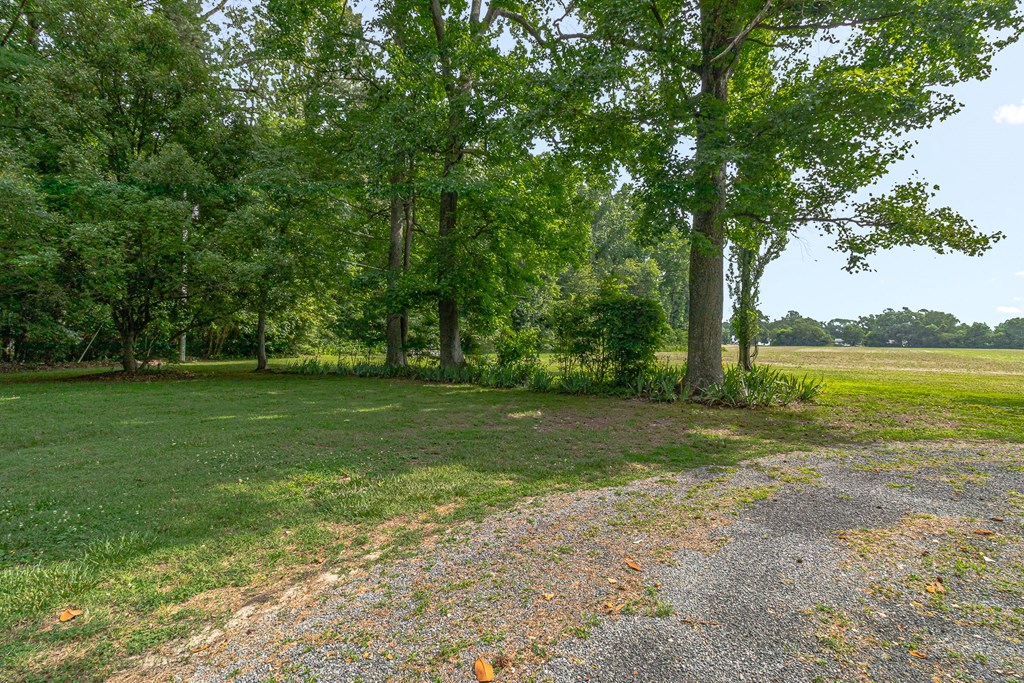 238 Hill Valley Ln