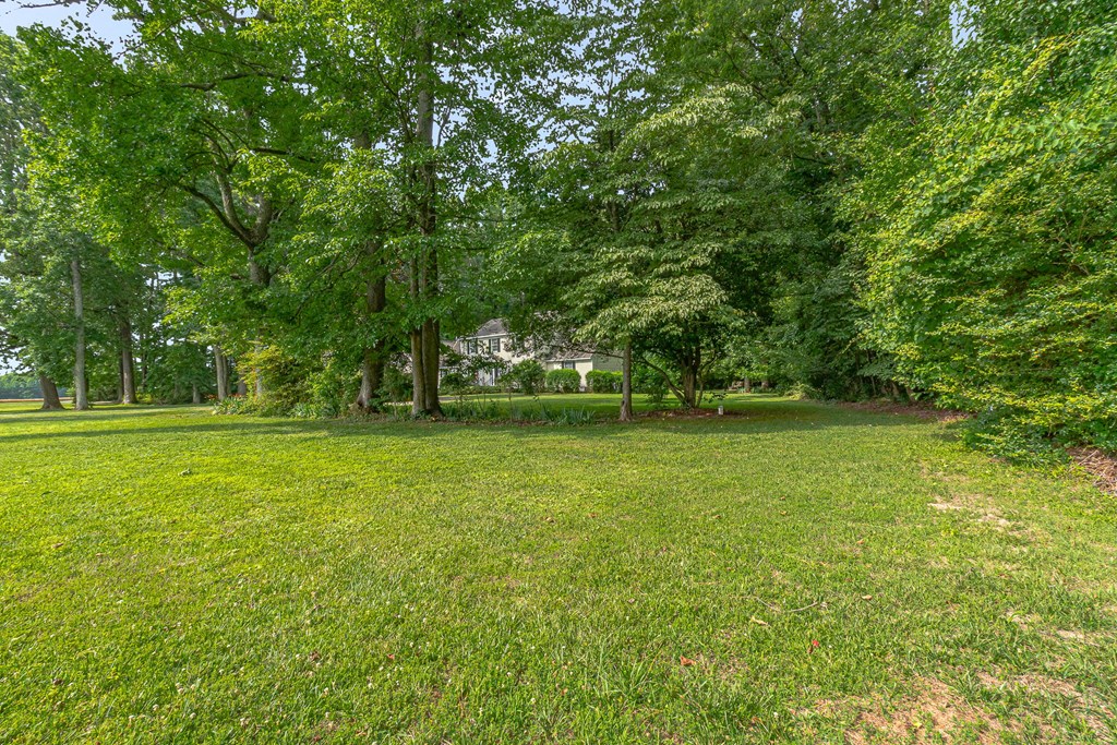 238 Hill Valley Ln