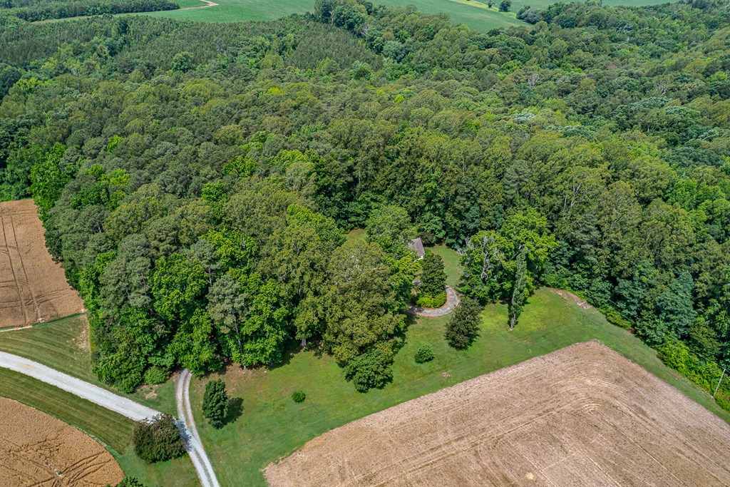 238 Hill Valley Ln