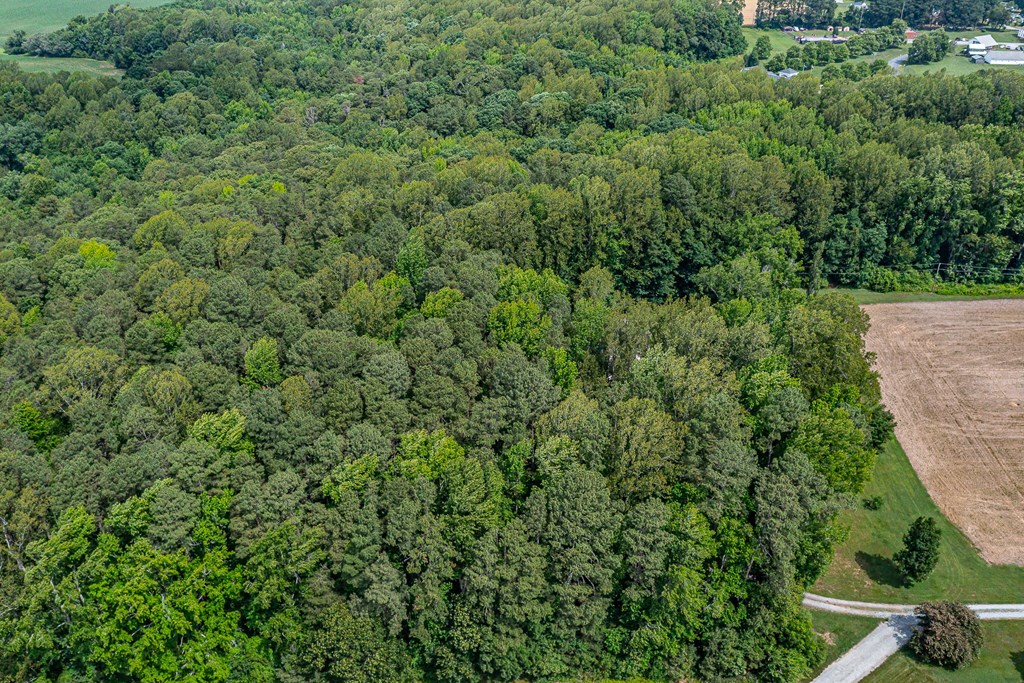 238 Hill Valley Ln