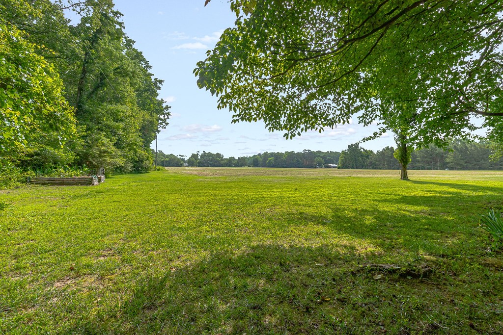 238 Hill Valley Ln
