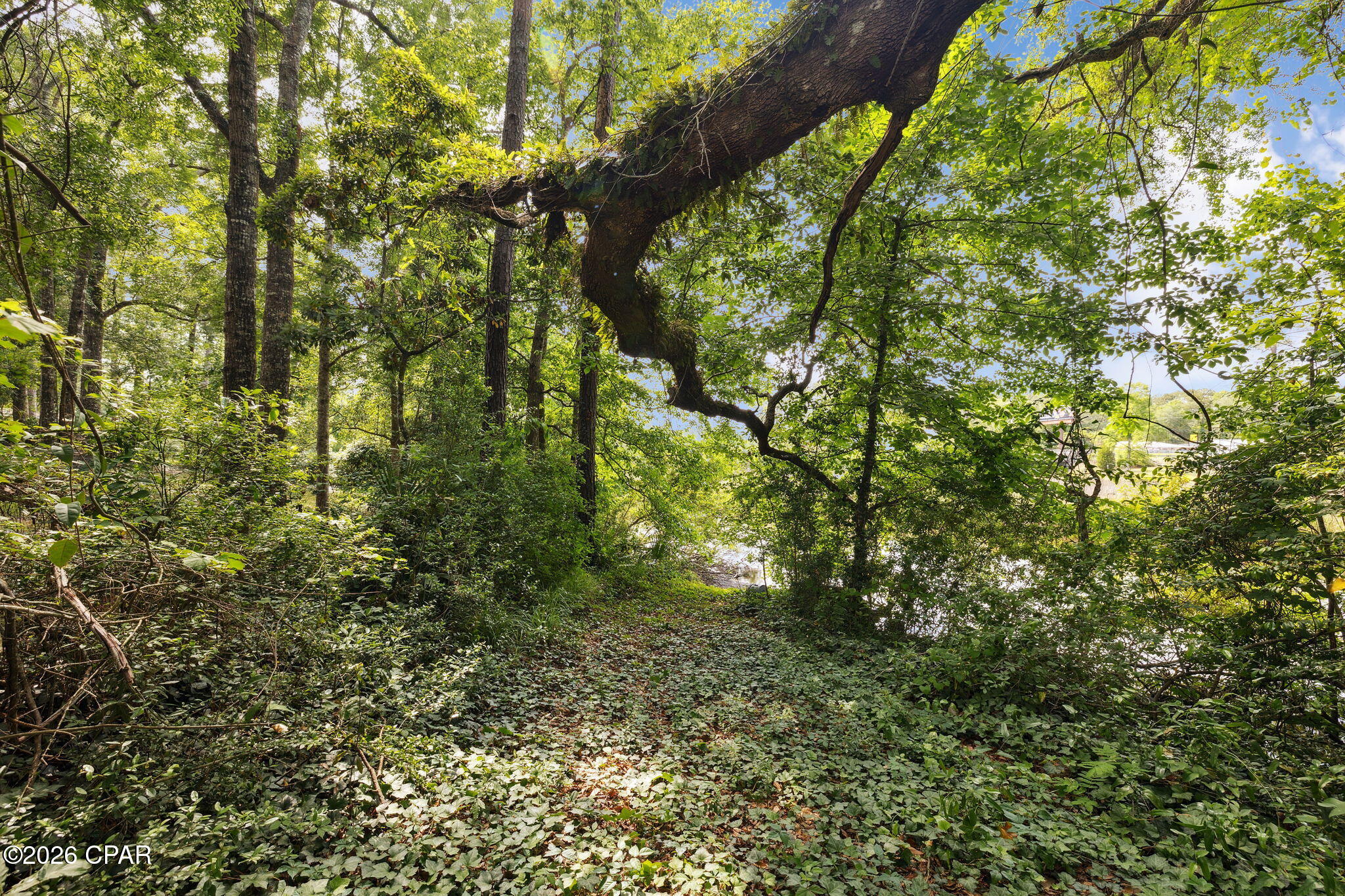 193 Ramsey Branch Road LOT 1