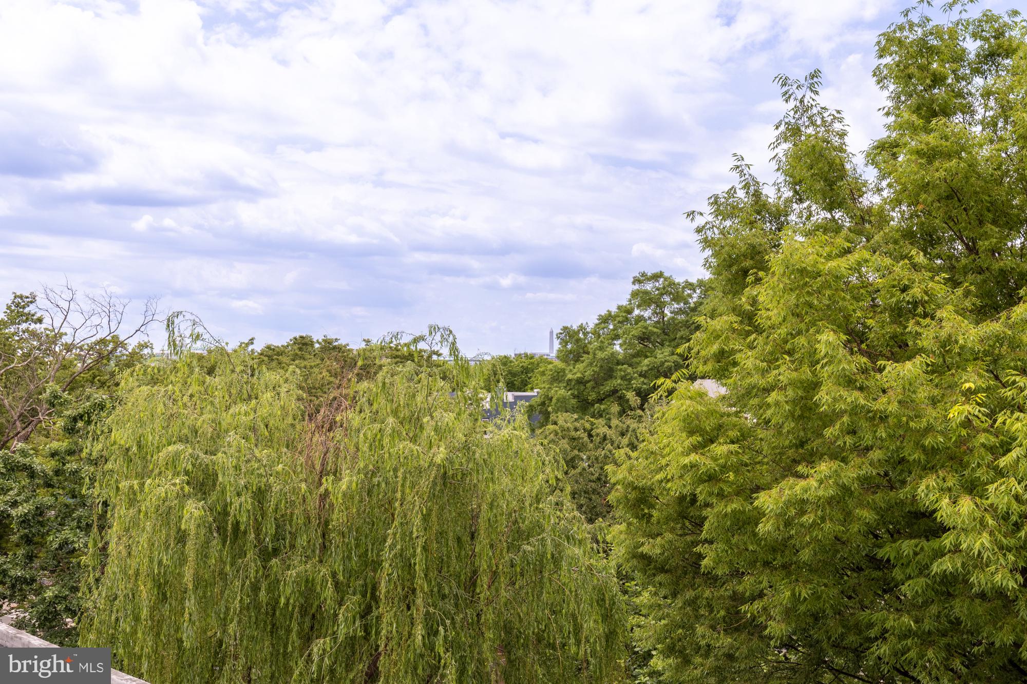 1325 ORREN STREET NE D