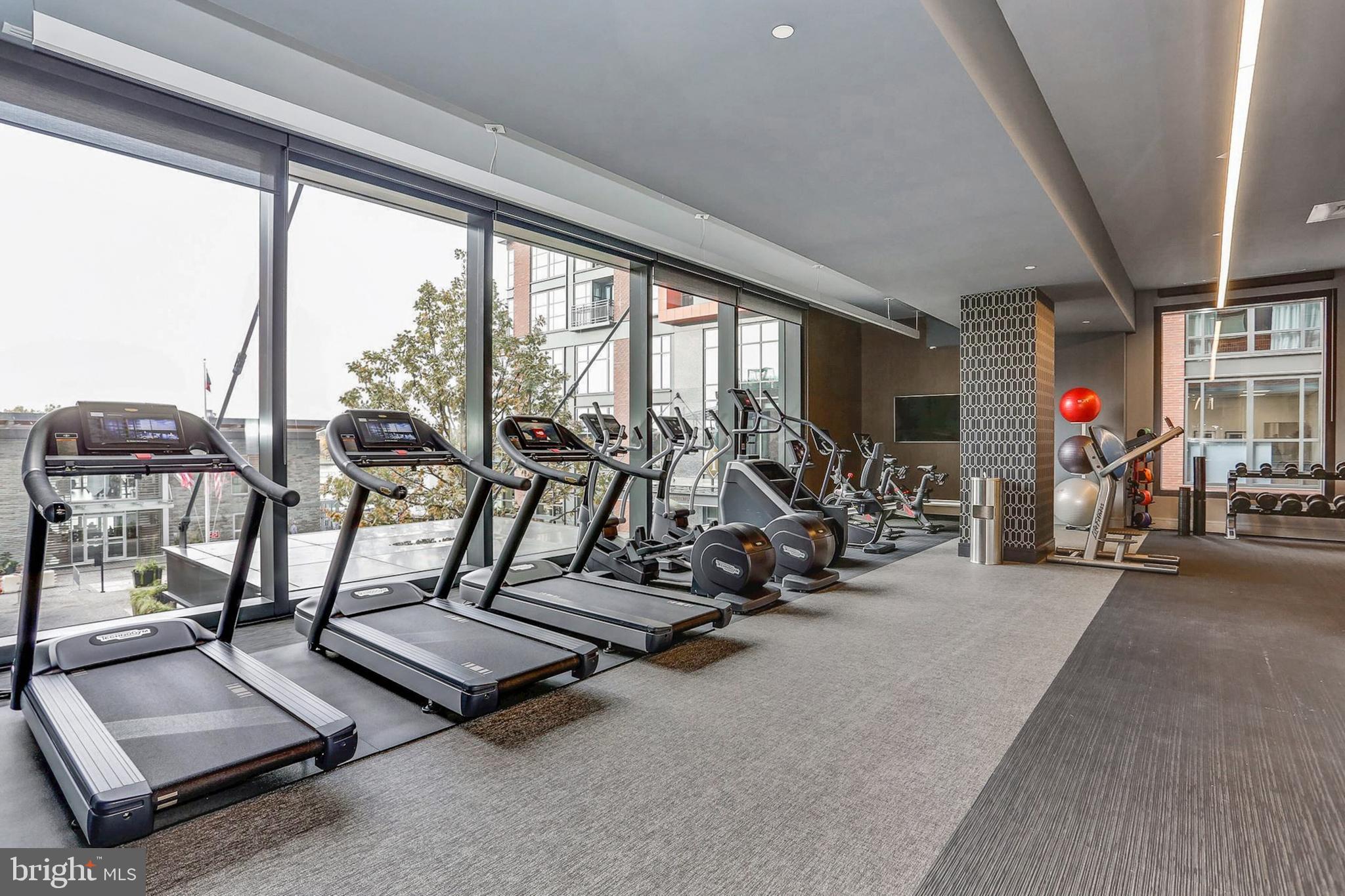 45 SUTTON SQUARE SW 509