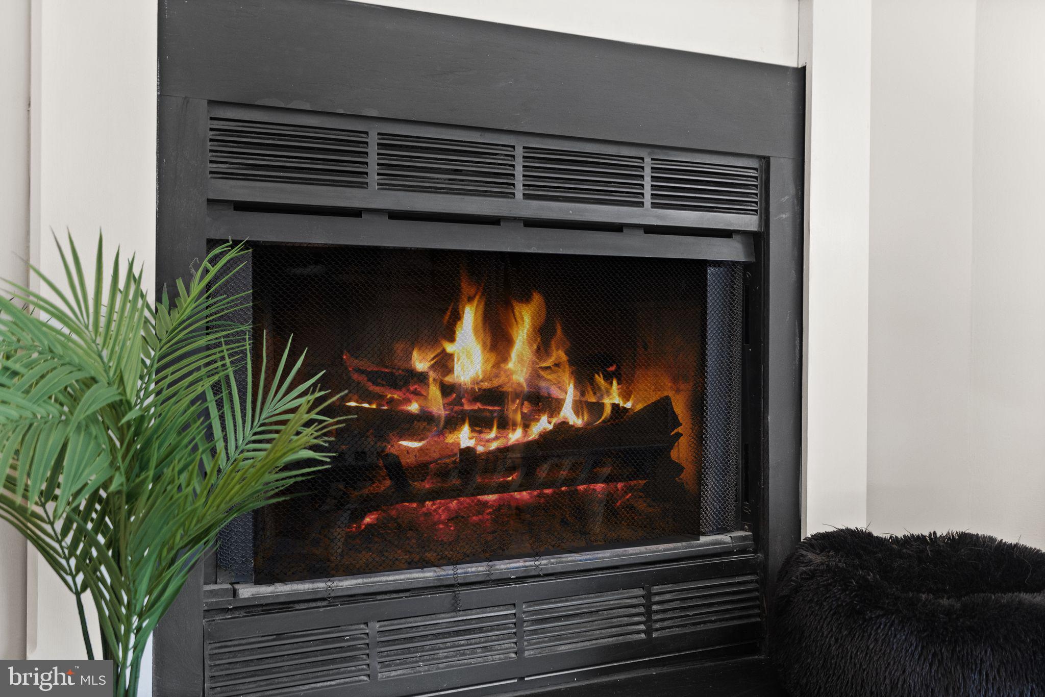 14019 GRUMBLE JONES COURT A