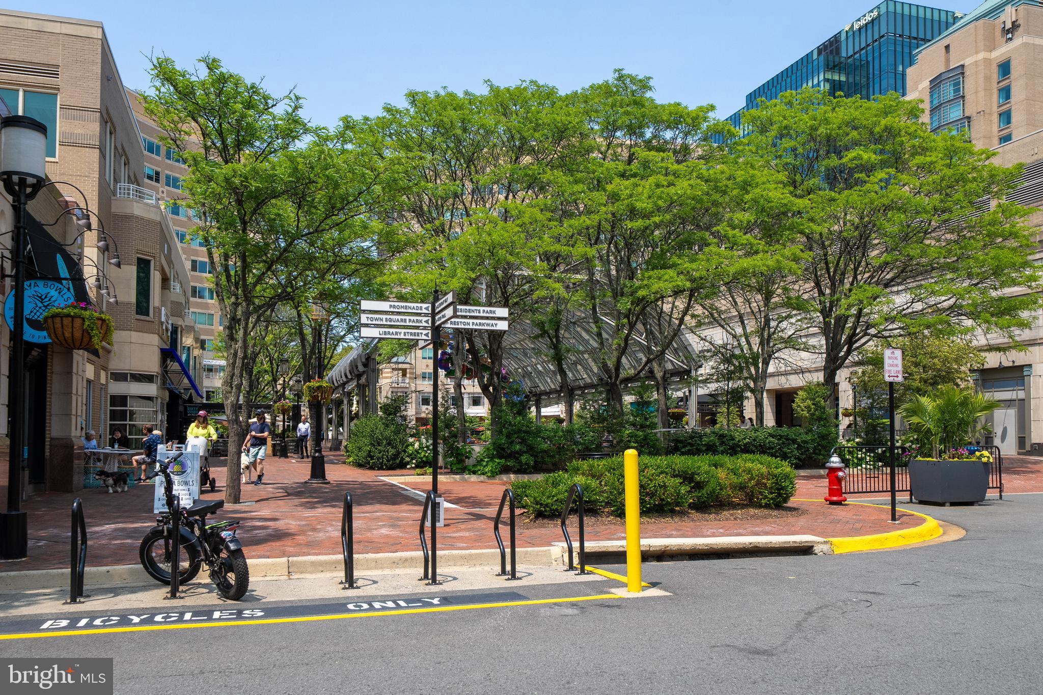 1674 CHIMNEY HOUSE ROAD