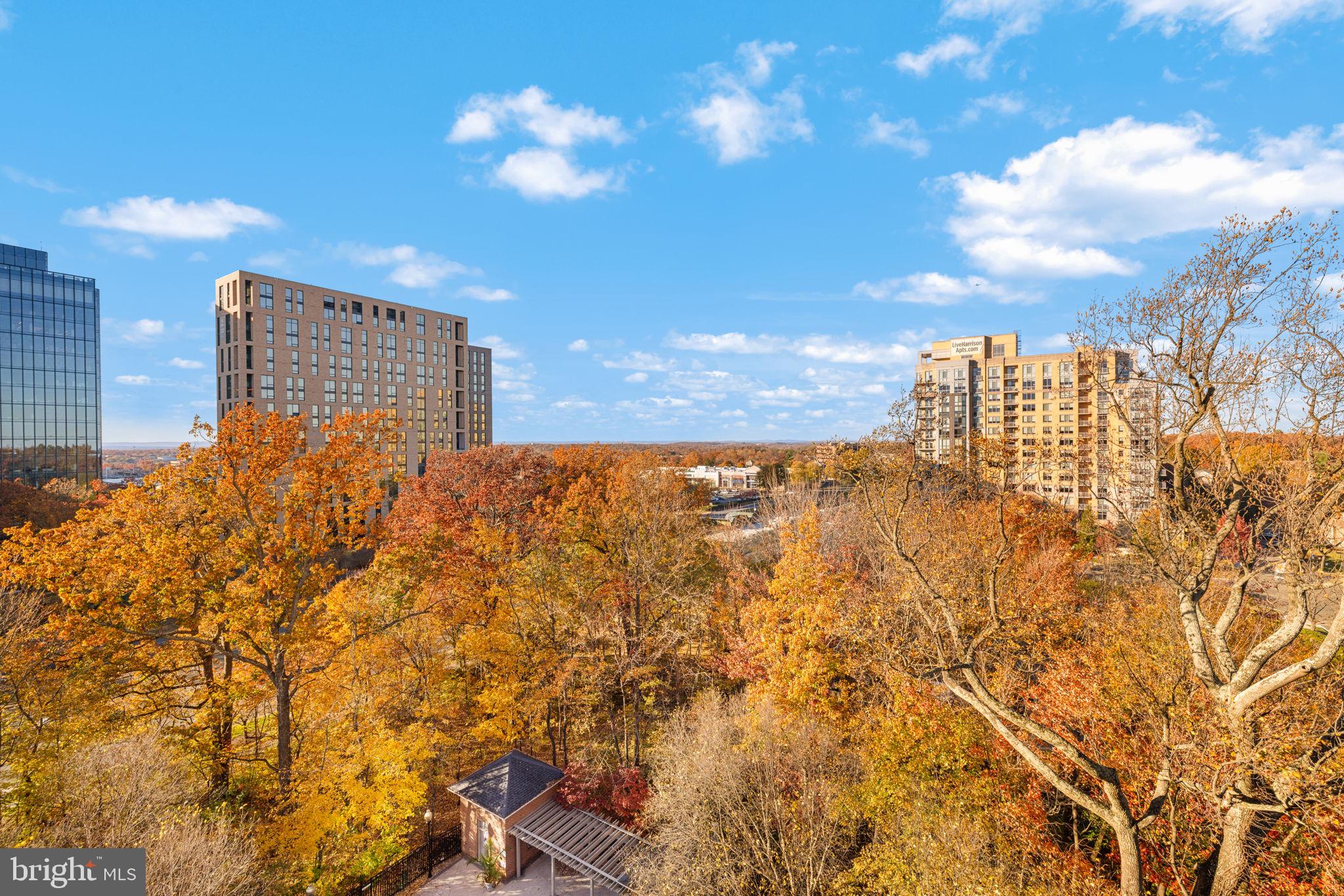 11776 STRATFORD HOUSE PLACE 907