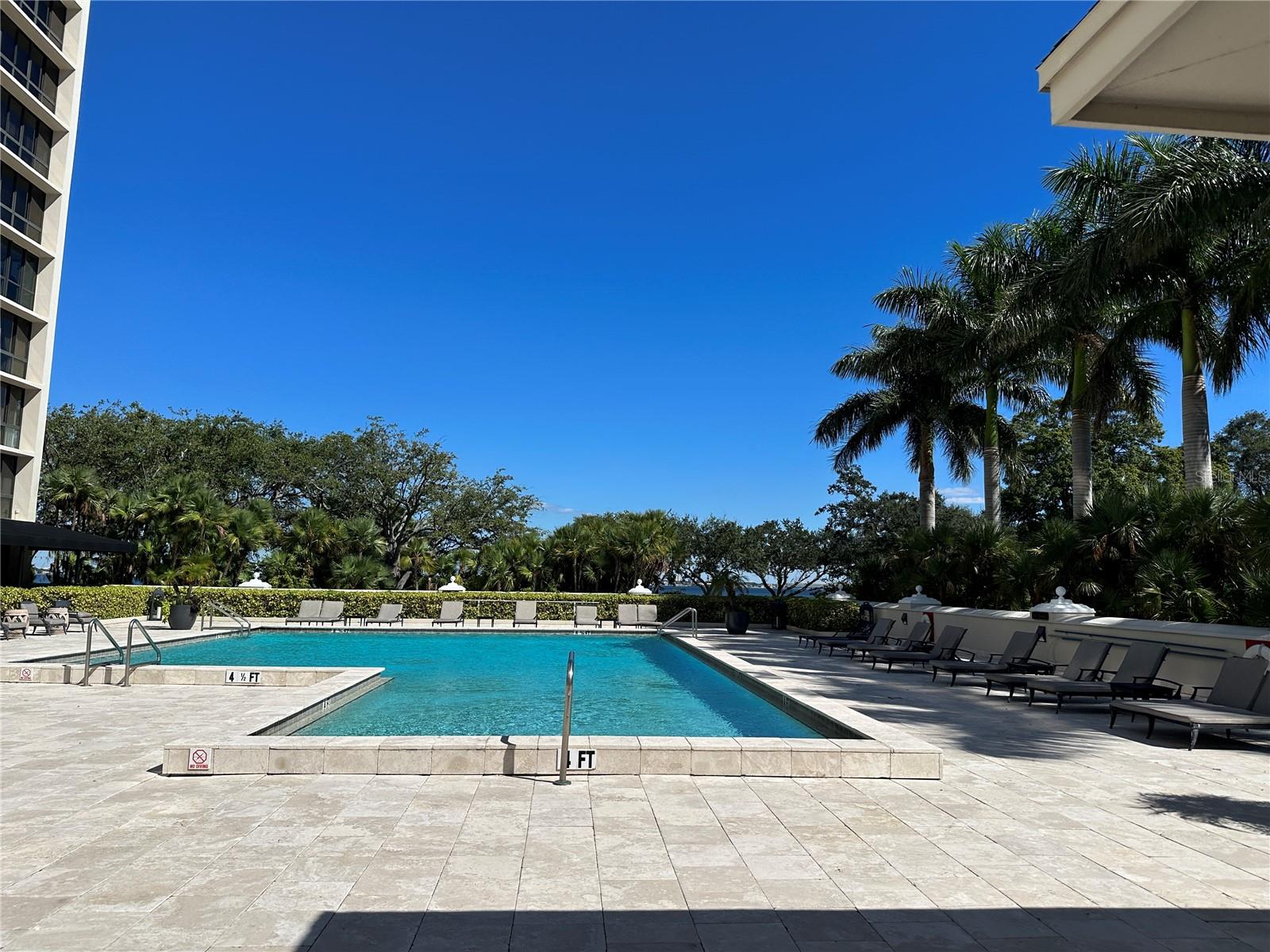 3301 BAYSHORE BLVD #503