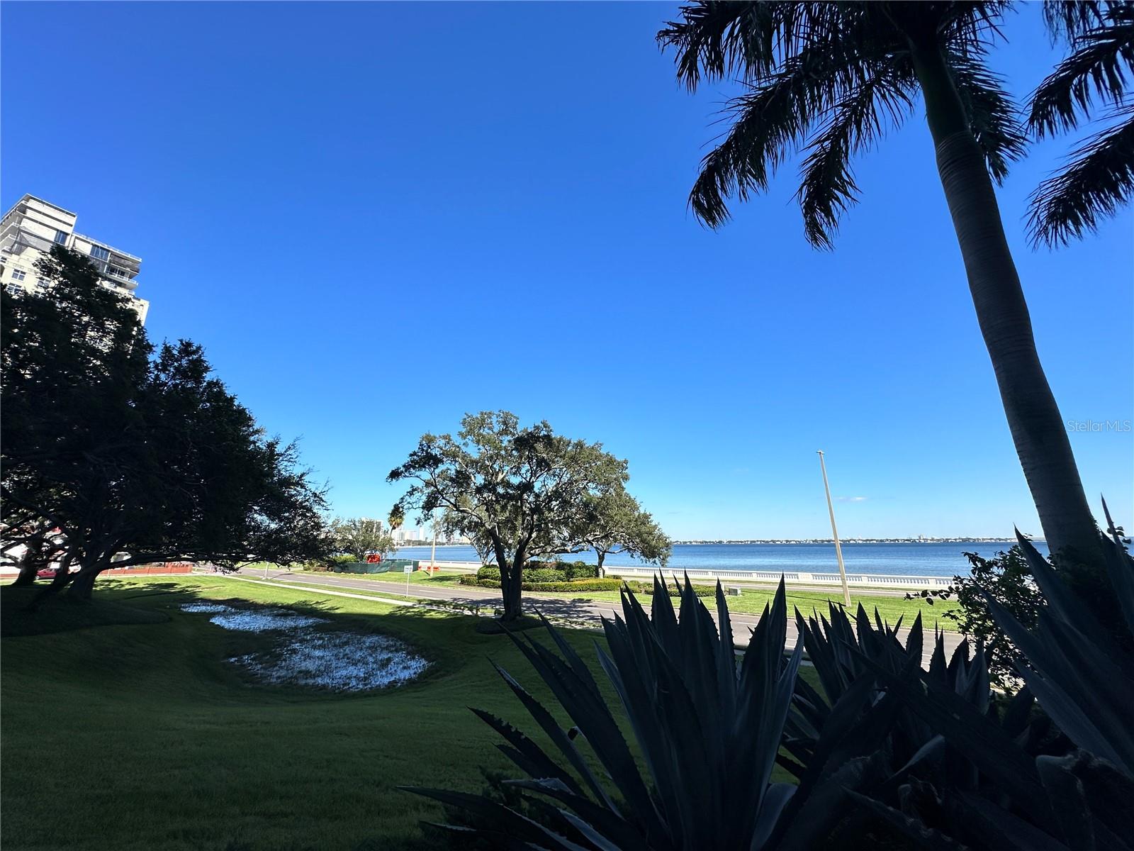 3301 BAYSHORE BLVD #503