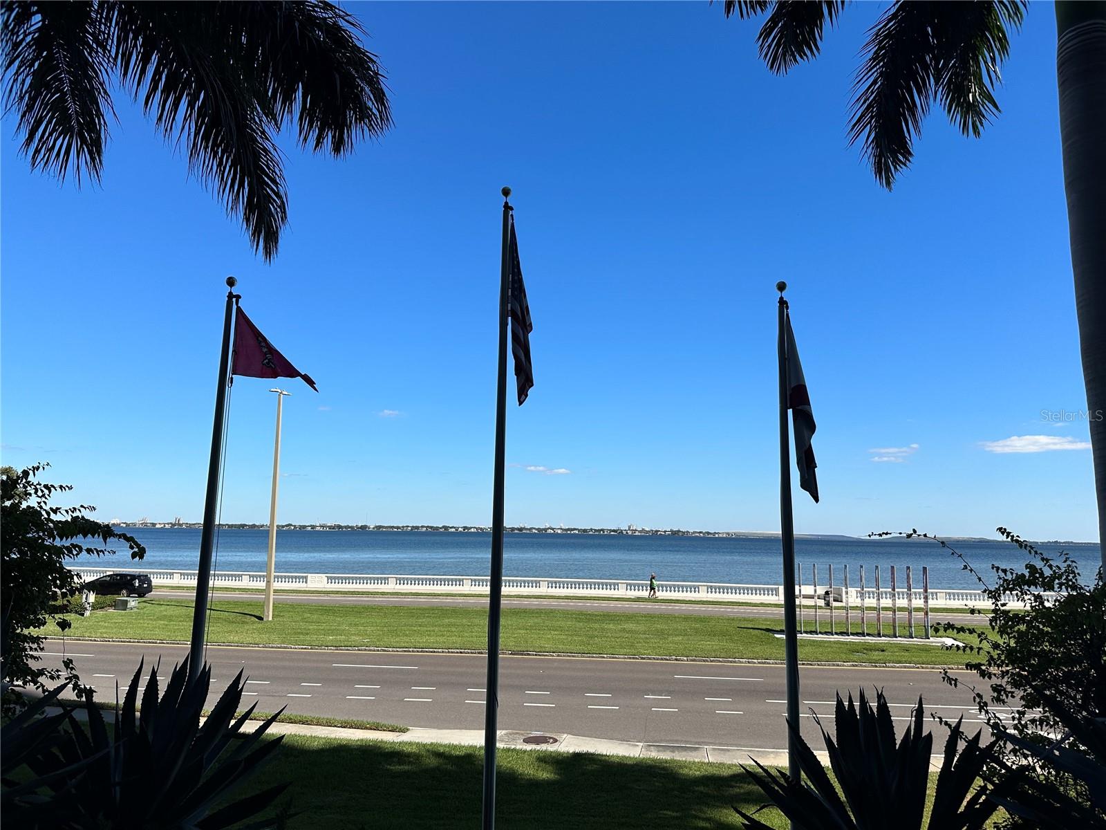 3301 BAYSHORE BLVD #503