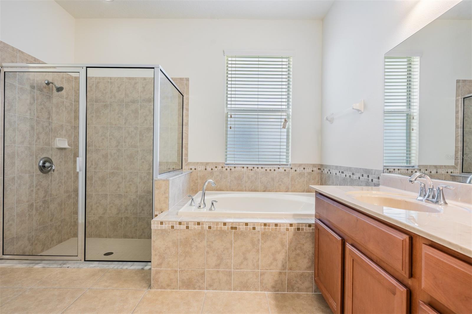 10622 PICTORIAL PARK DR