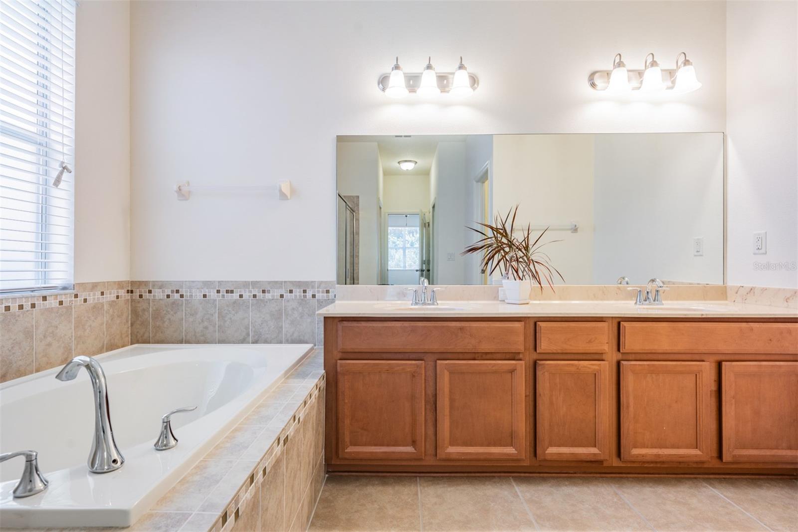 10622 PICTORIAL PARK DR