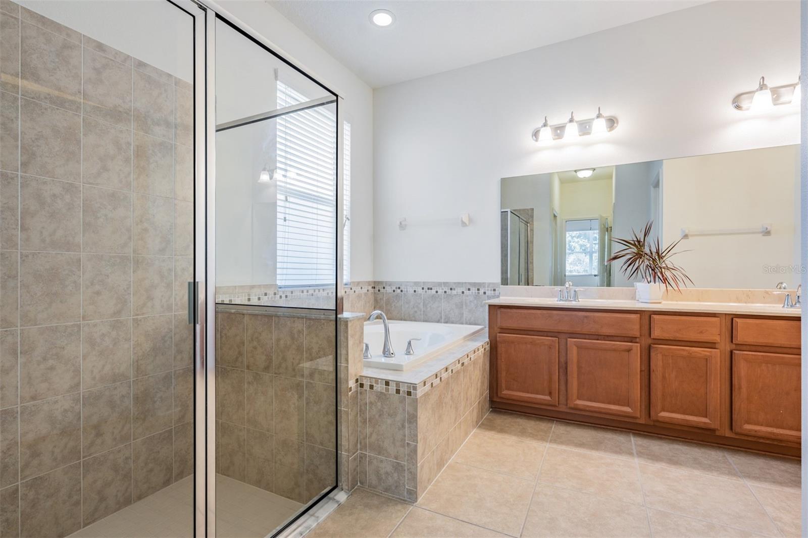 10622 PICTORIAL PARK DR