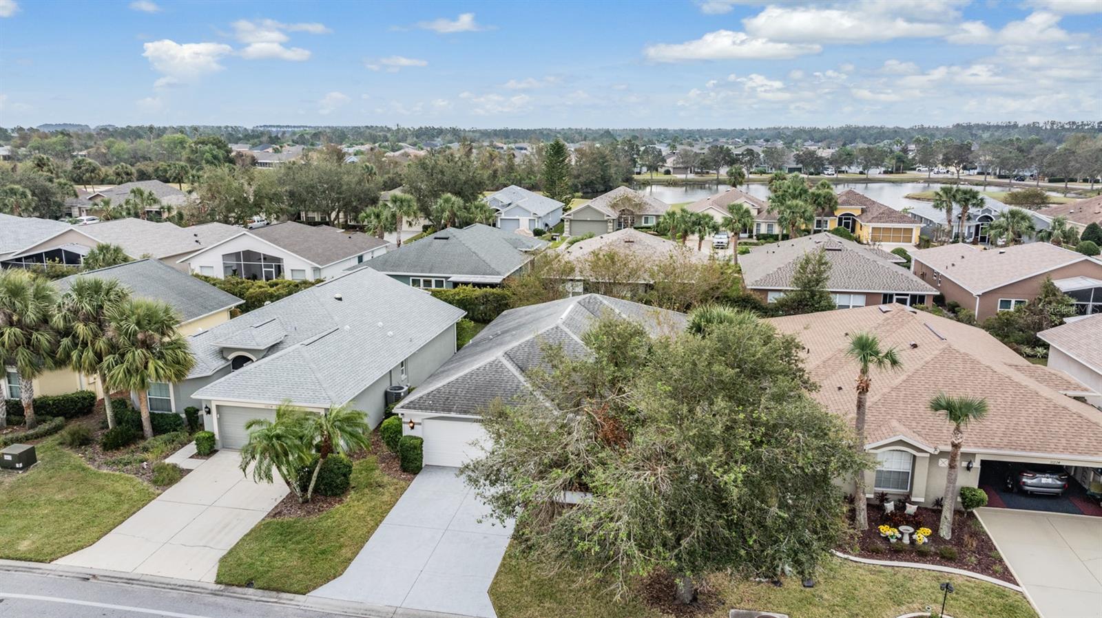 10230 OLD TAMPA BAY DR