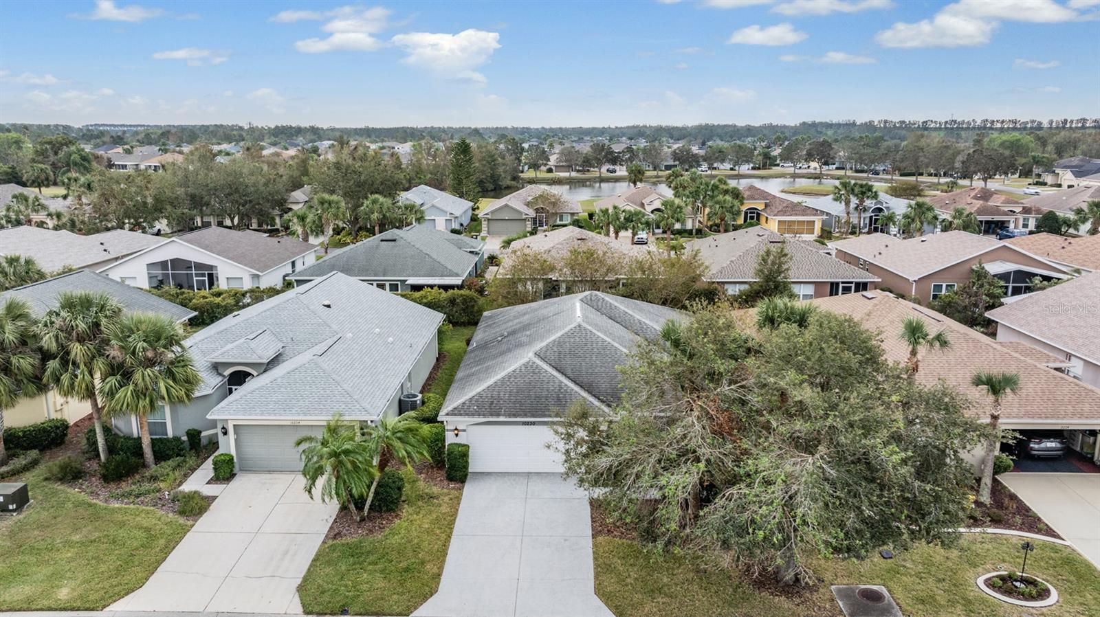 10230 OLD TAMPA BAY DR