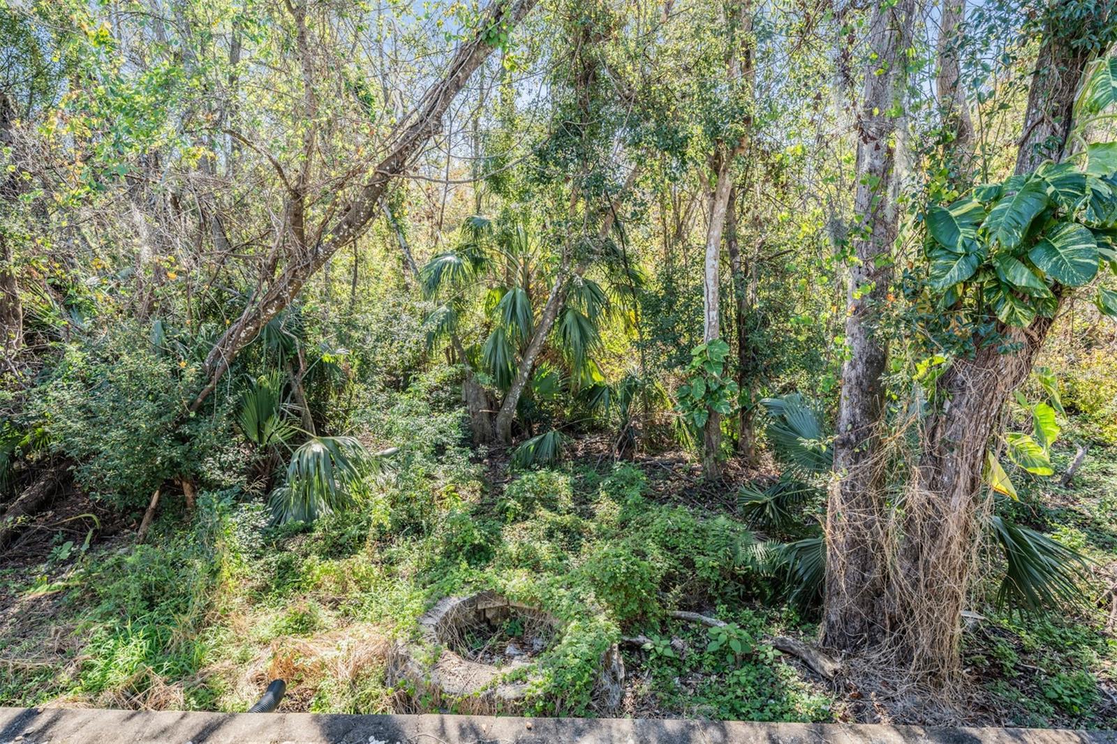 12306 WOODLANDS CIR