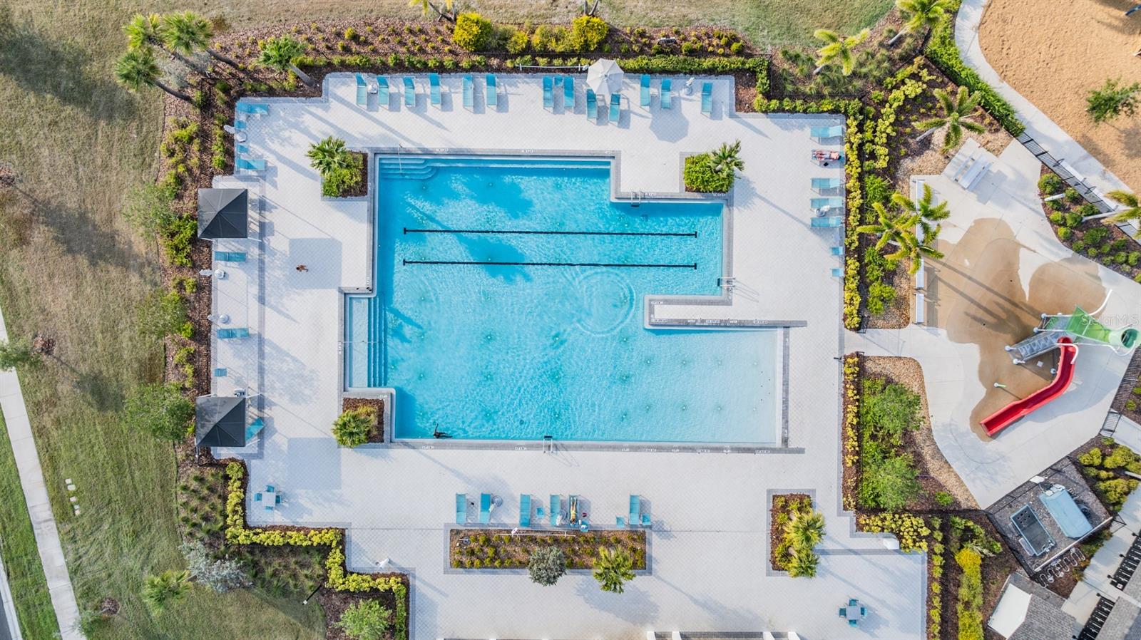 4550 GLOBE THISTLE DR