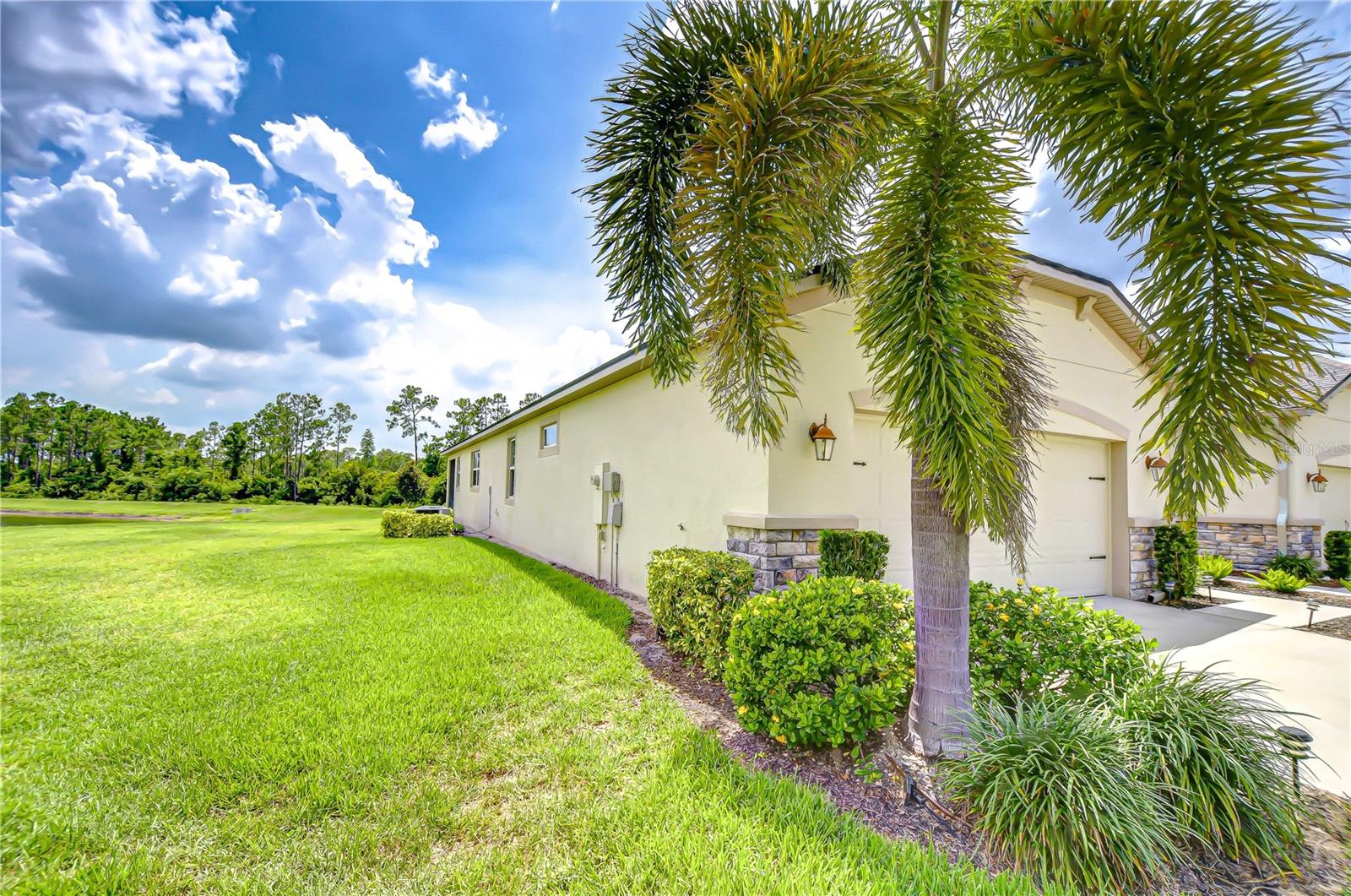 11619 CAMBIUM CROWN DR