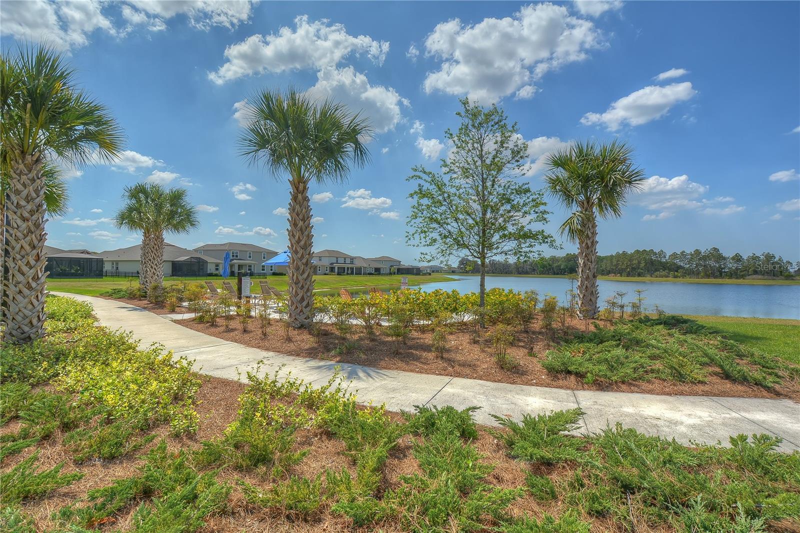 11619 CAMBIUM CROWN DR