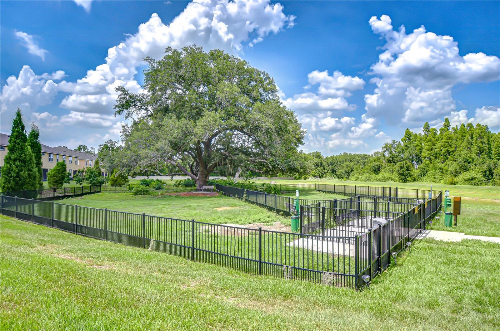 11619 CAMBIUM CROWN DR