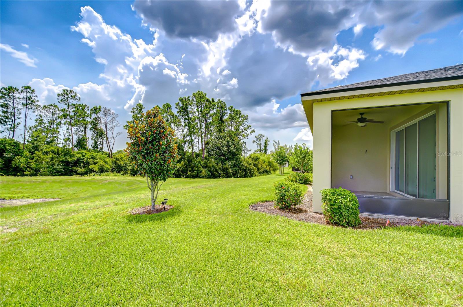 11619 CAMBIUM CROWN DR