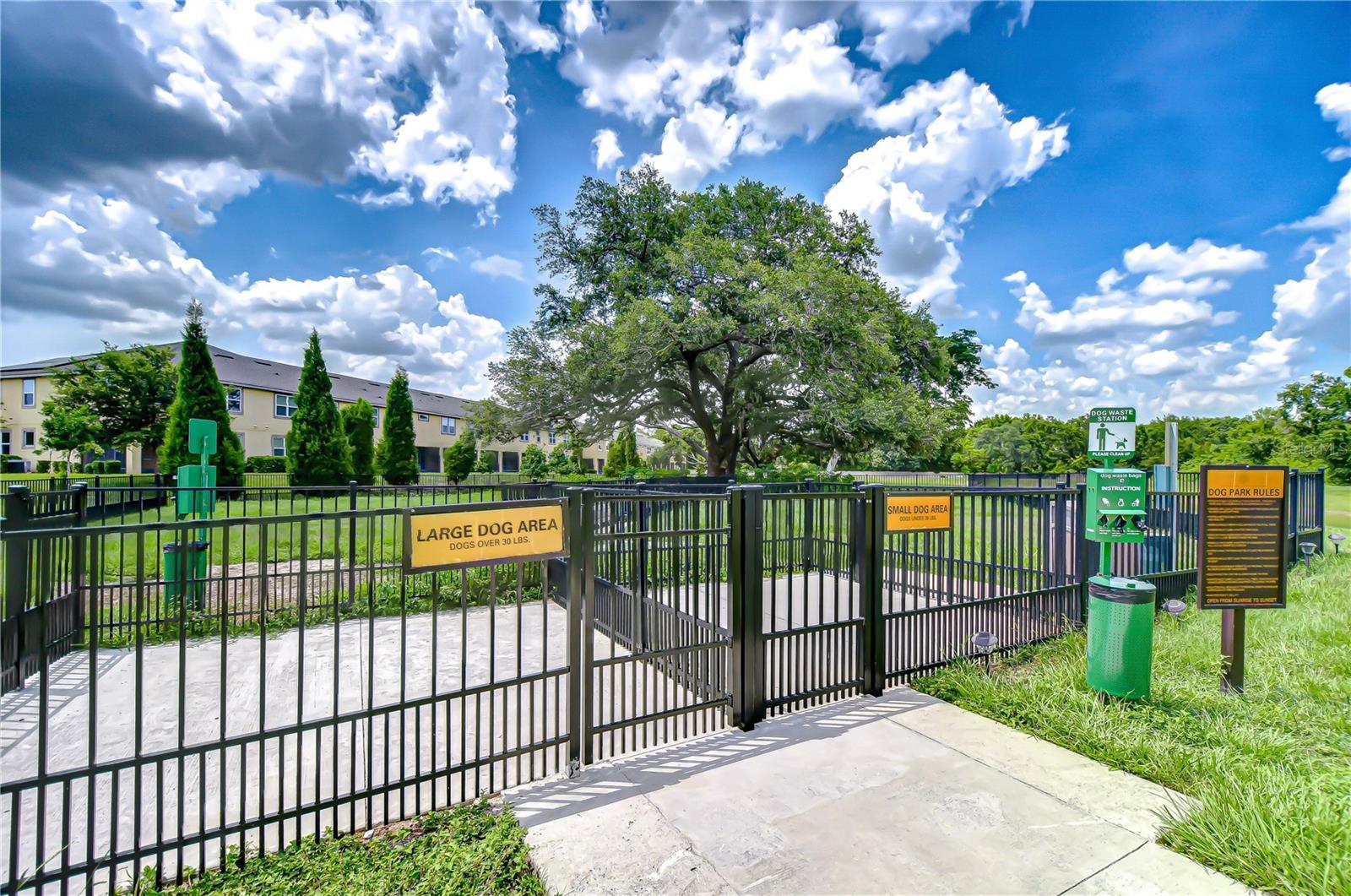 11619 CAMBIUM CROWN DR