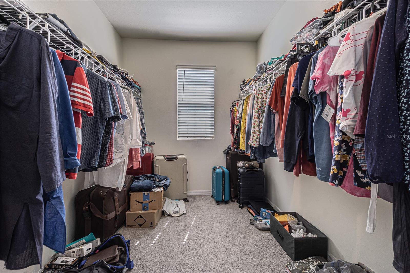 10612 PENNY GALE LOOP