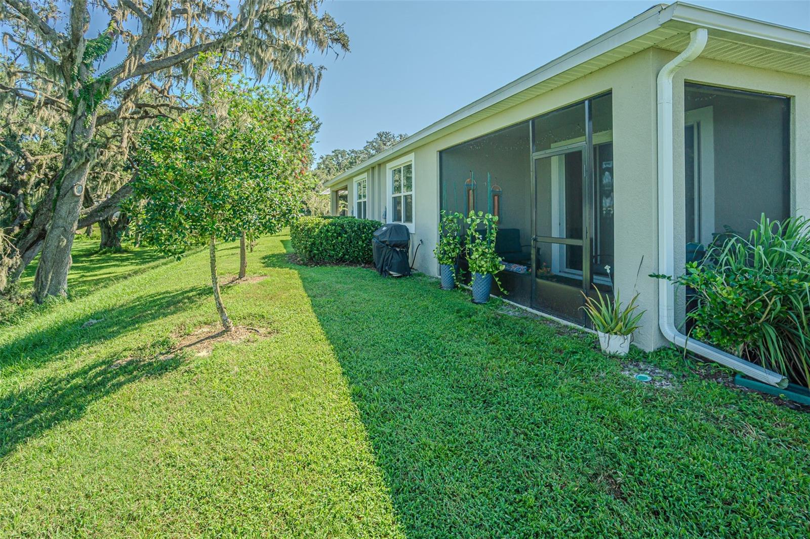 31457 MANGO FADE WAY