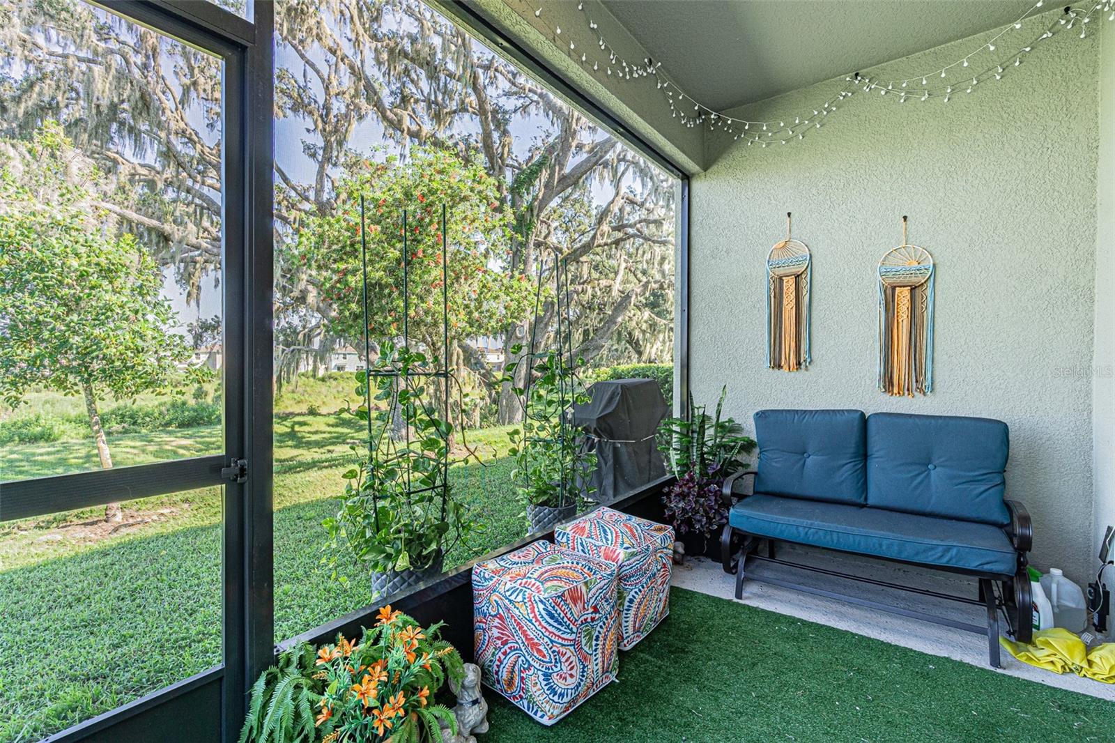 31457 MANGO FADE WAY