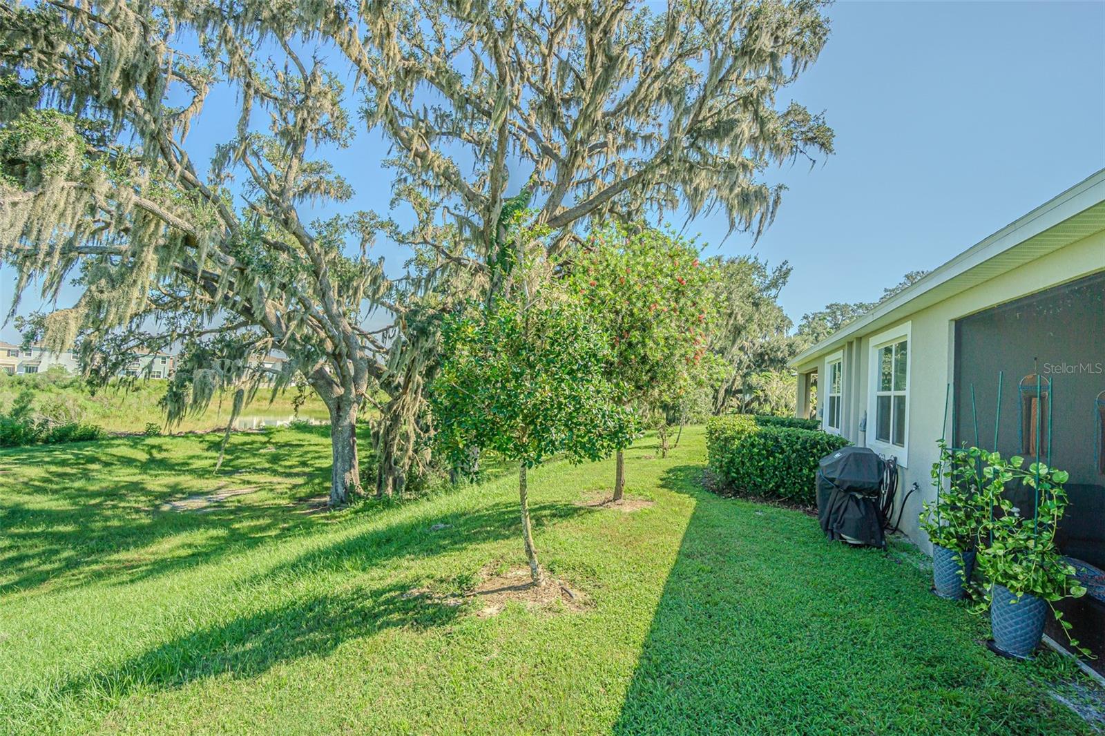 31457 MANGO FADE WAY