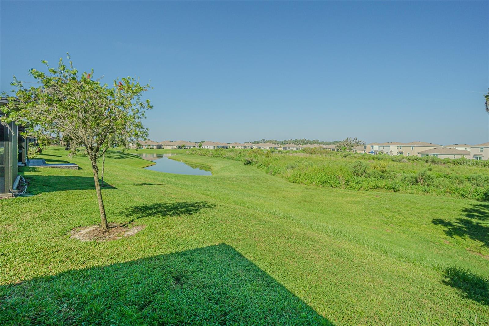 31457 MANGO FADE WAY