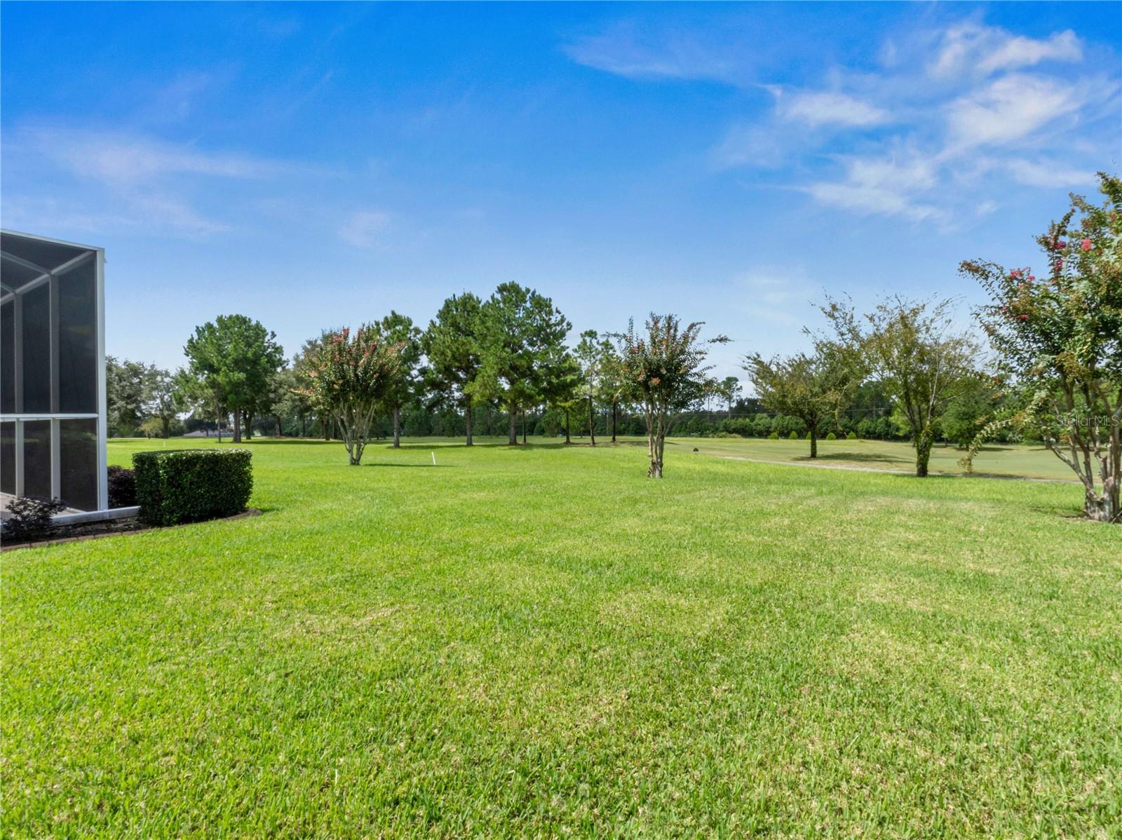 13217 THOROUGHBRED DR