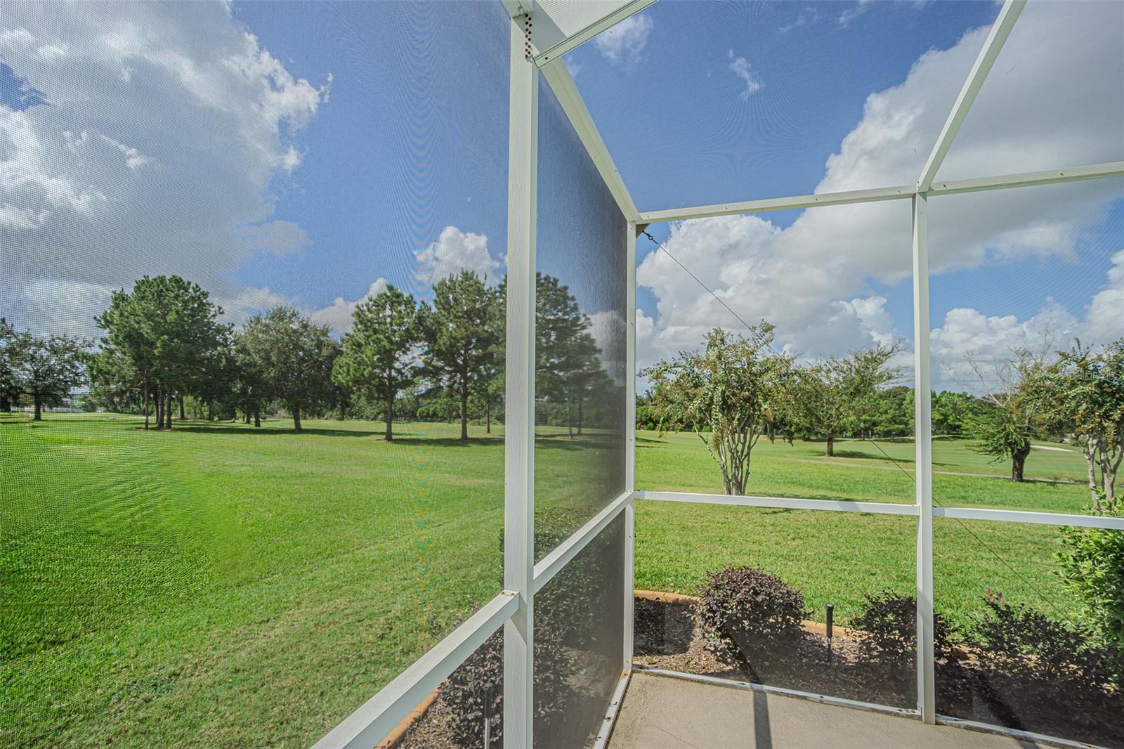 13217 THOROUGHBRED DR