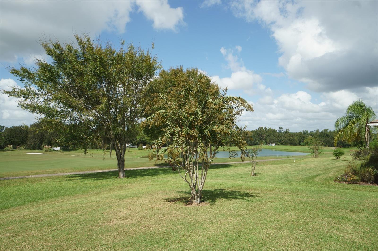 13217 THOROUGHBRED DR