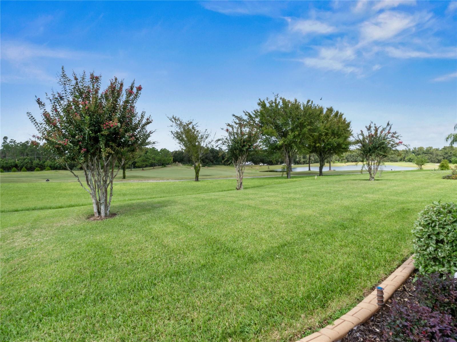 13217 THOROUGHBRED DR