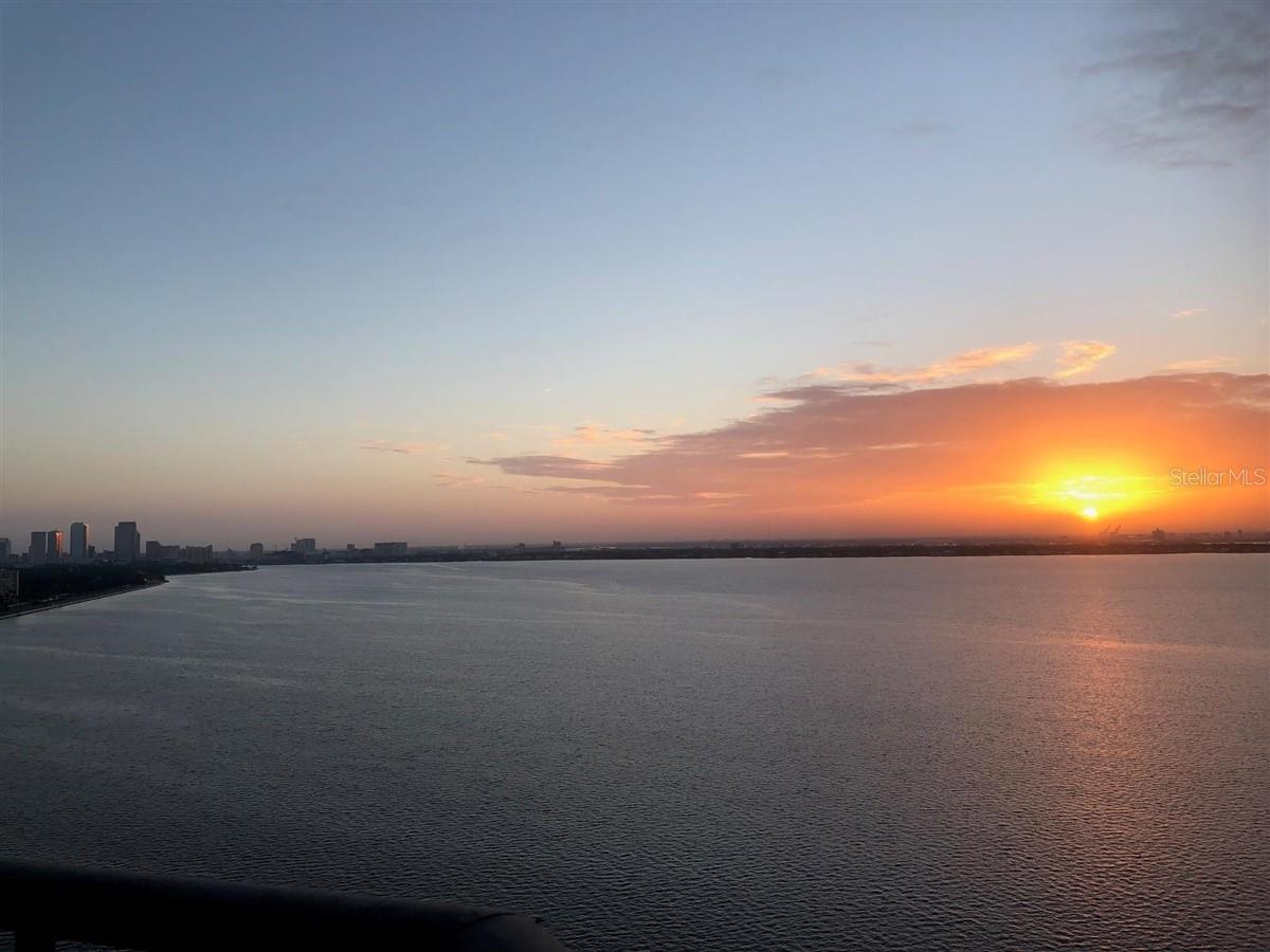 3301 BAYSHORE BLVD #2104D