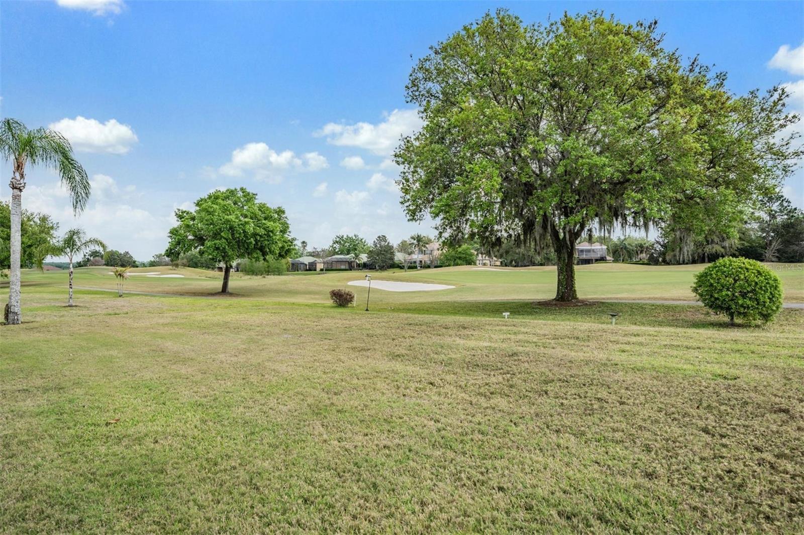 13514 THOROUGHBRED DR