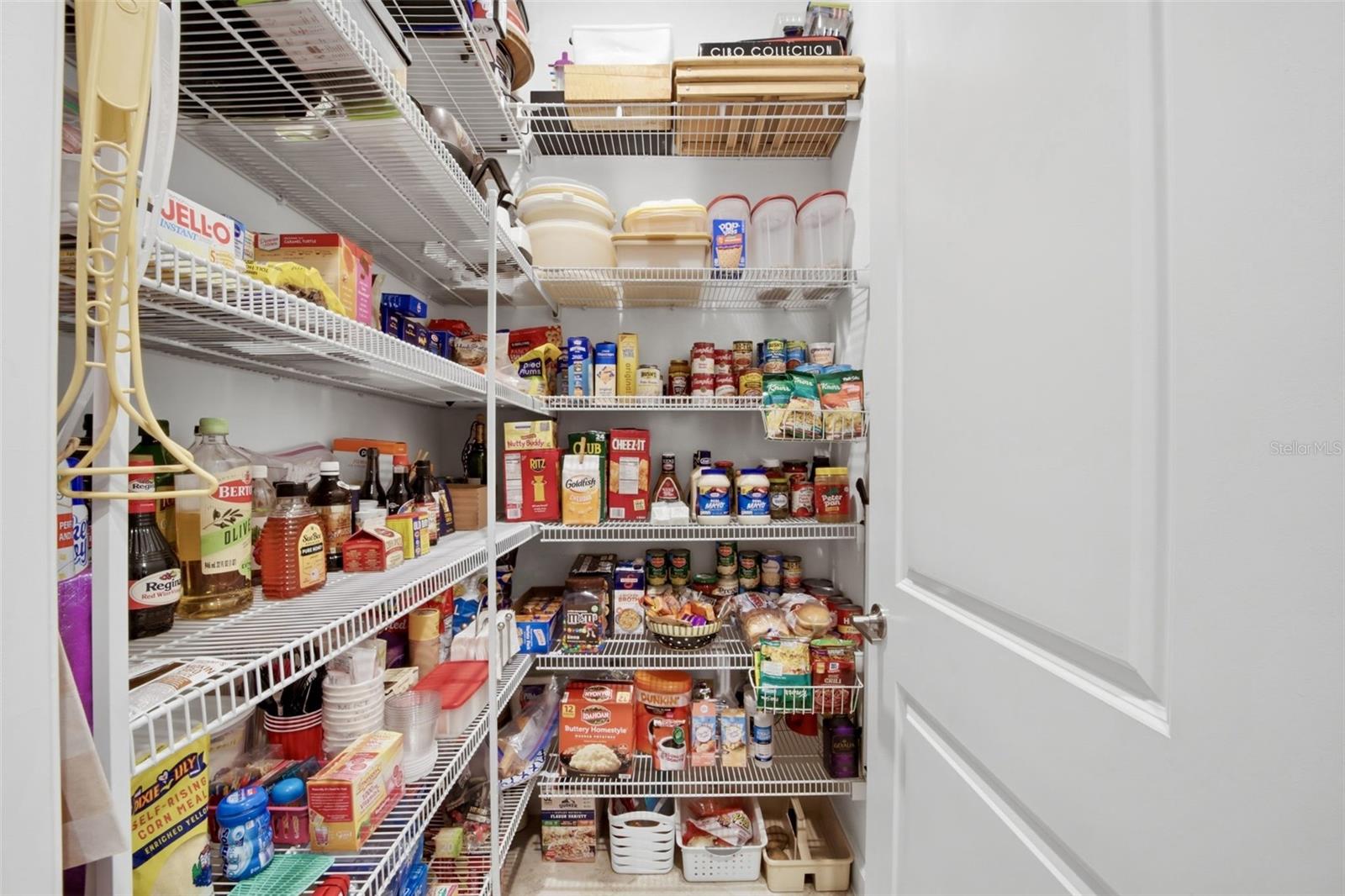 31548 CABANA RYE AVE