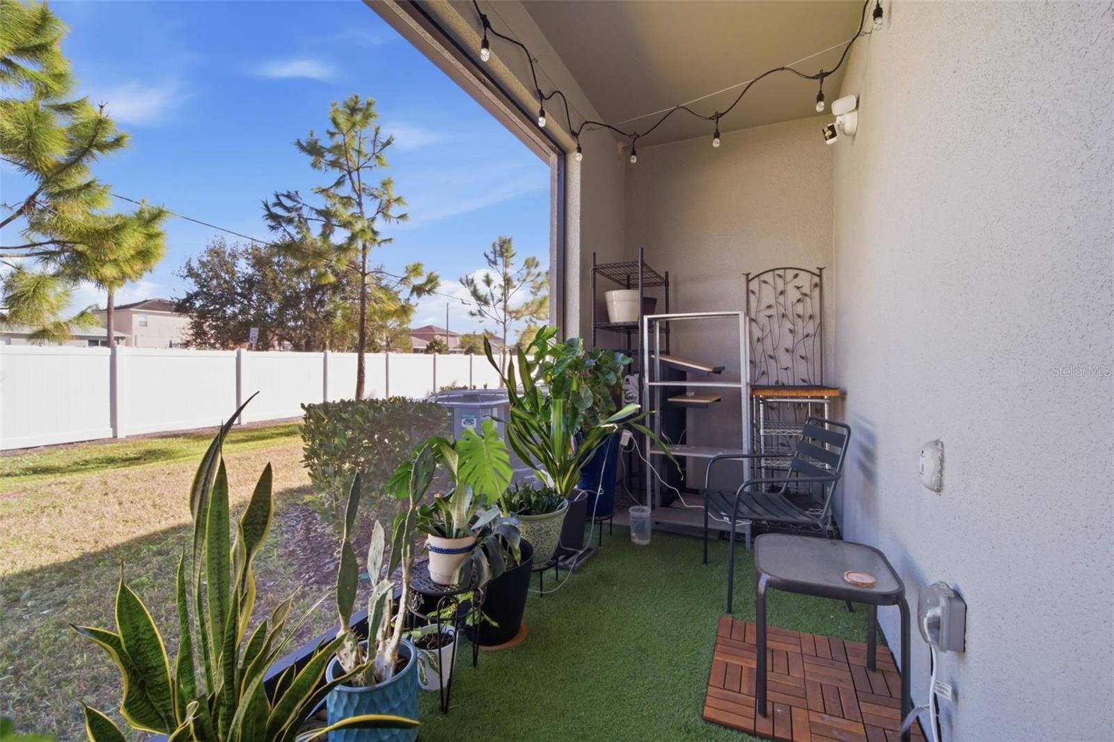 4459 GLOBE THISTLE DR