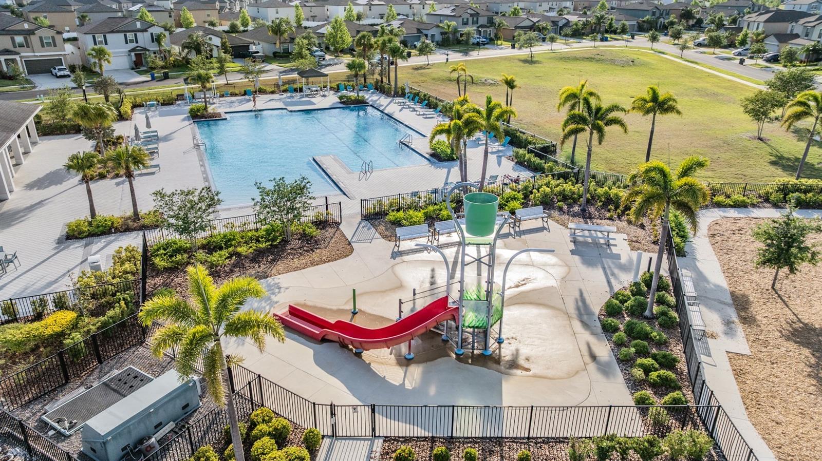 4459 GLOBE THISTLE DR