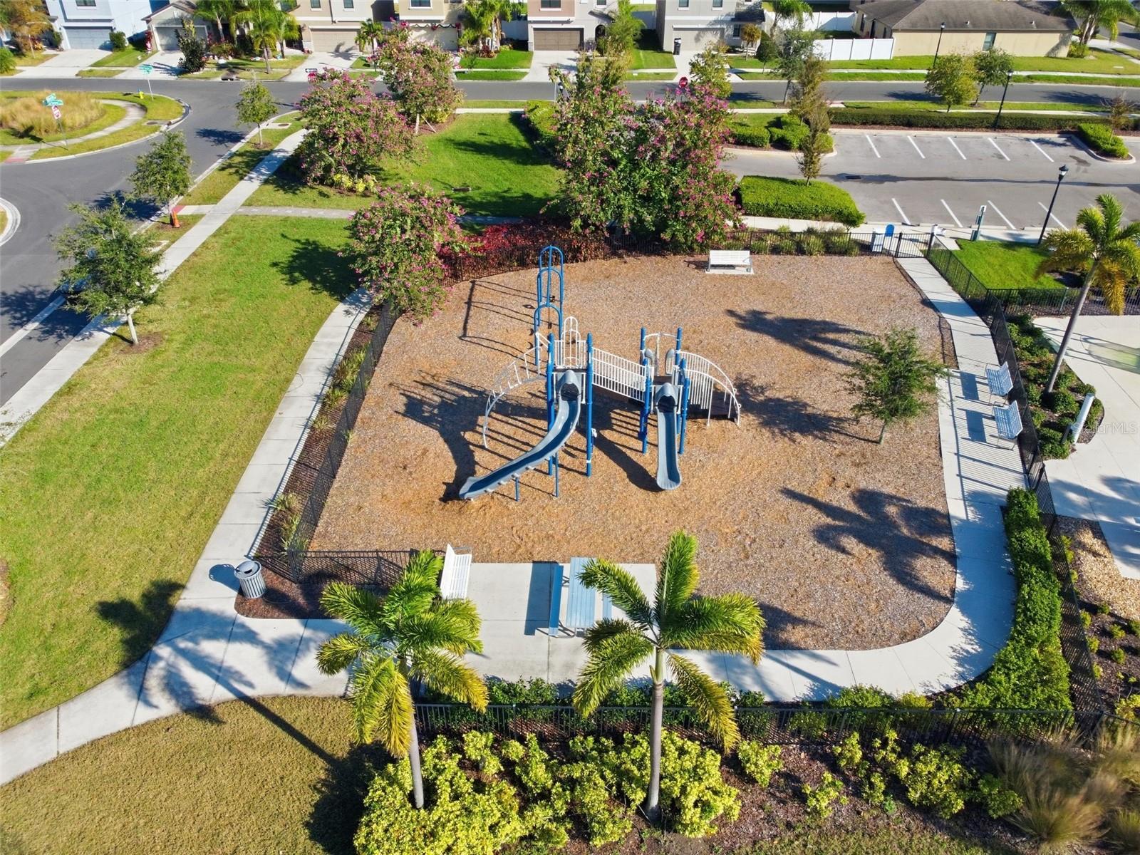 4459 GLOBE THISTLE DR